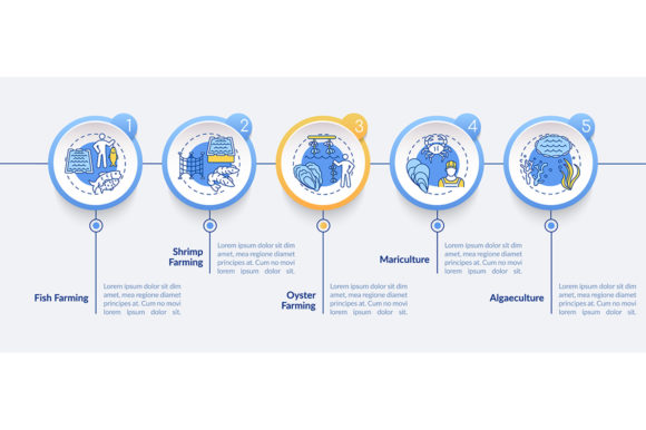 Aquaculture Vector Infographic Template for Modern Design Projects