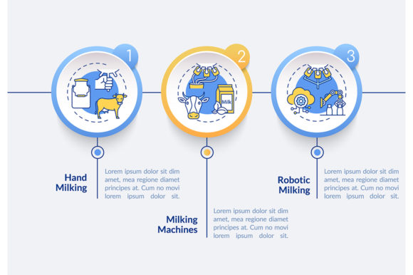 Cow Milking Vector Infographic Template for Graphic Designers