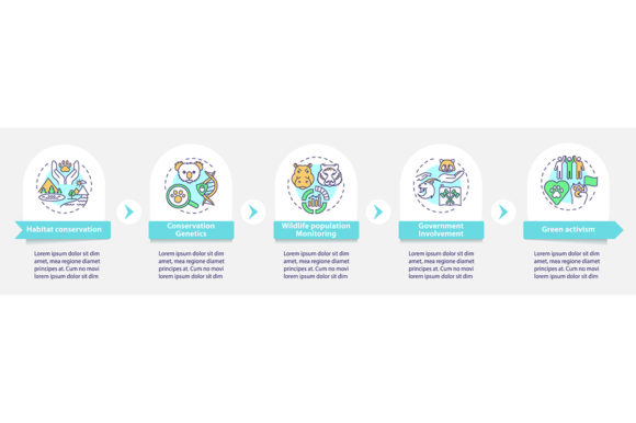 Habitat Conservation Vector Infographic for Stronger Brand Storytelling