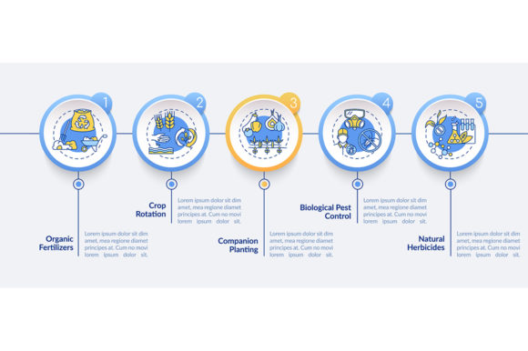 Organic Farming Principles Infographic: A Brand Designer’s Take