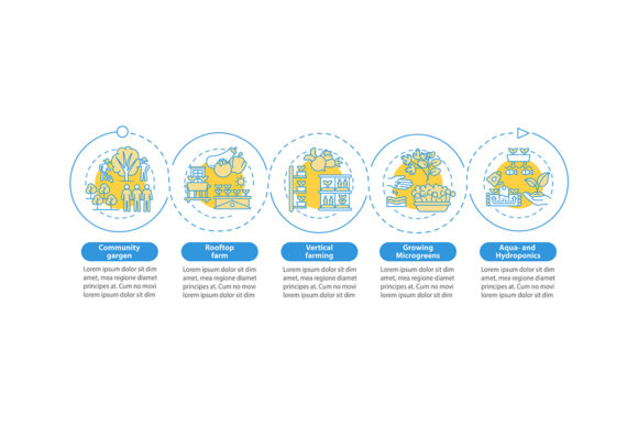 Urban Farming Vector Infographic: A Designer’s Real-World Test